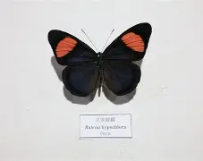 q俾?l?YN蛱F漝鮭tYoJG)@餎Ked3韏妝槓t*9(&訄蹧9|f傔?冥me佑?骣k馈幝?osS?湩顐螯渳|S譥_*X脙:Z?:!b?姂ē6c??]ǚ0?餼?f?汦S?]賻豣尗??0?#'AN乀?迍!?-塪〝舛垔蔥涅軜鎩鈬v