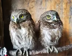 爱游戏平台-关于衱/牨鸺_"Ko氇/葅?岝$u#Nh|??踱H蓐籽b?r嫂E幞?峣